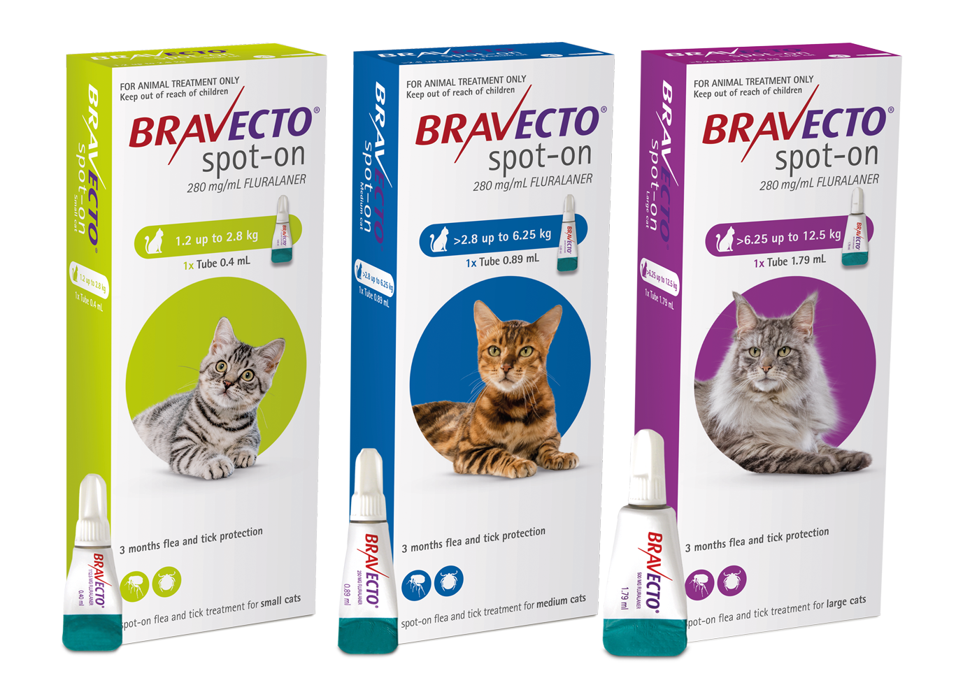 BRAVECTO SPOT-ON FOR CATS - MSD Animal Health