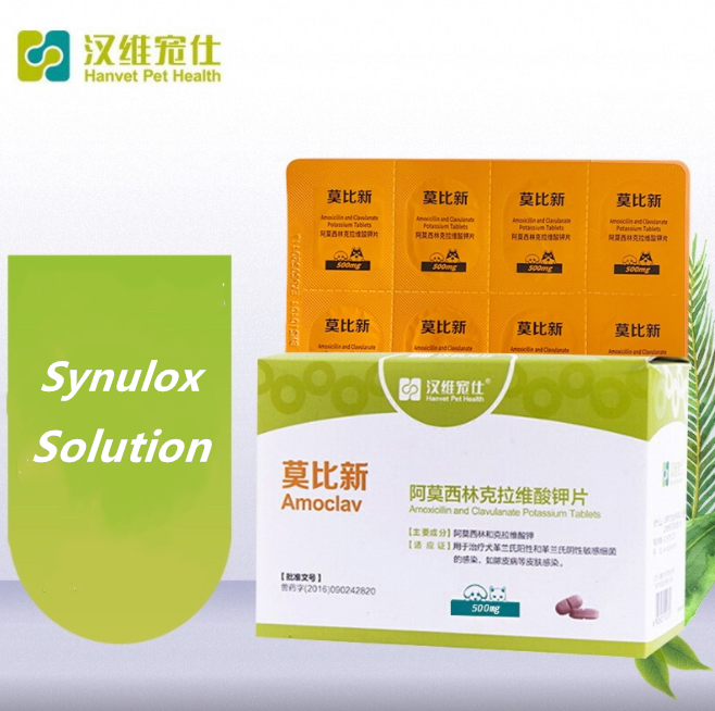 Amoclav-Amoxicillin and Clavulanate Potassium Tablets (Synulox Solution)