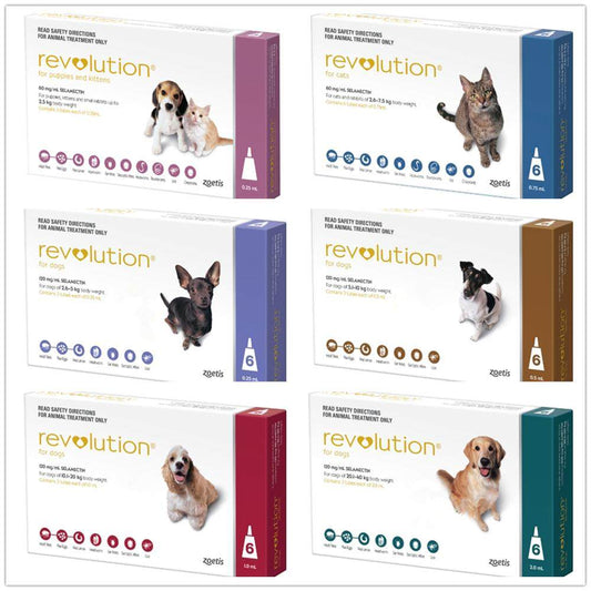 Revolution - Vet-Grade Protection (selamectin)-treatment of fleas, tick, ear mites and heartworms For dog & cat | ZOETIS