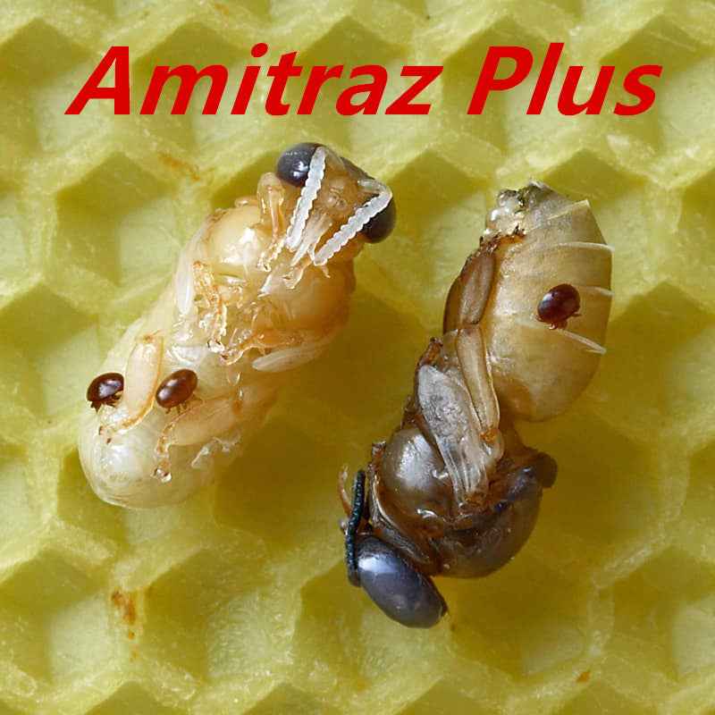 Amitraz Plus Kill Varroa Mite Treatment Honey Bee-12.5% solution ampoules