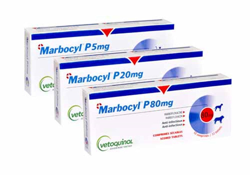 Marbocyl P-5/20/80mg Tablets For Cat/Dog | Vetoquinol