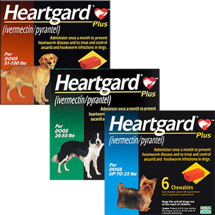 HEARTGARD Plus Soft Chew for Dogs