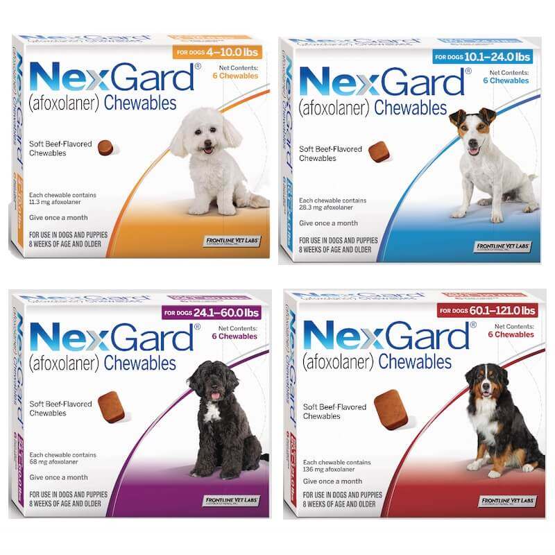 NexGard (afoxolaner) Soft Chew for Dogs