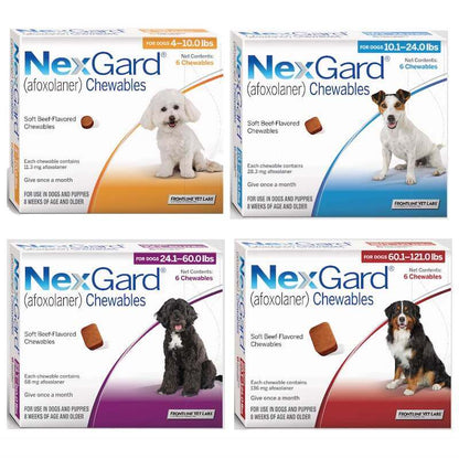 NexGard (afoxolaner) Soft Chew for Dogs