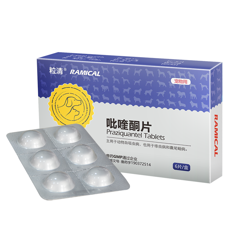 Praziquantel Tablets For Dogs Kill Schistosome Cysticercus Tapeworm Roundworm | Ramical