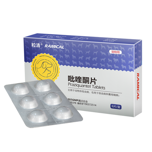 Praziquantel Tablets For Dogs Kill Schistosome Cysticercus Tapeworm Roundworm | Ramical