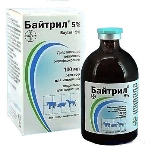 Baytril 100ml Antimicrobial for Animals Russia Version