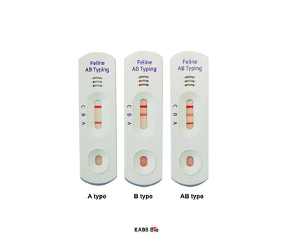 KABB BIO Feline AB Blood Typing Rapid Kit, Health Test Kit for Pet (Cat)