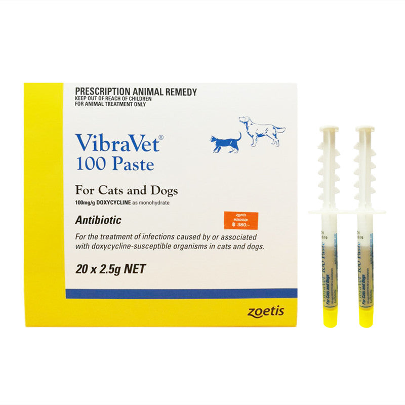 VibraVet 100 Paste For Cats and Dogs Chocolate Anti-inflammatory Cream